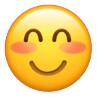 :joyful: